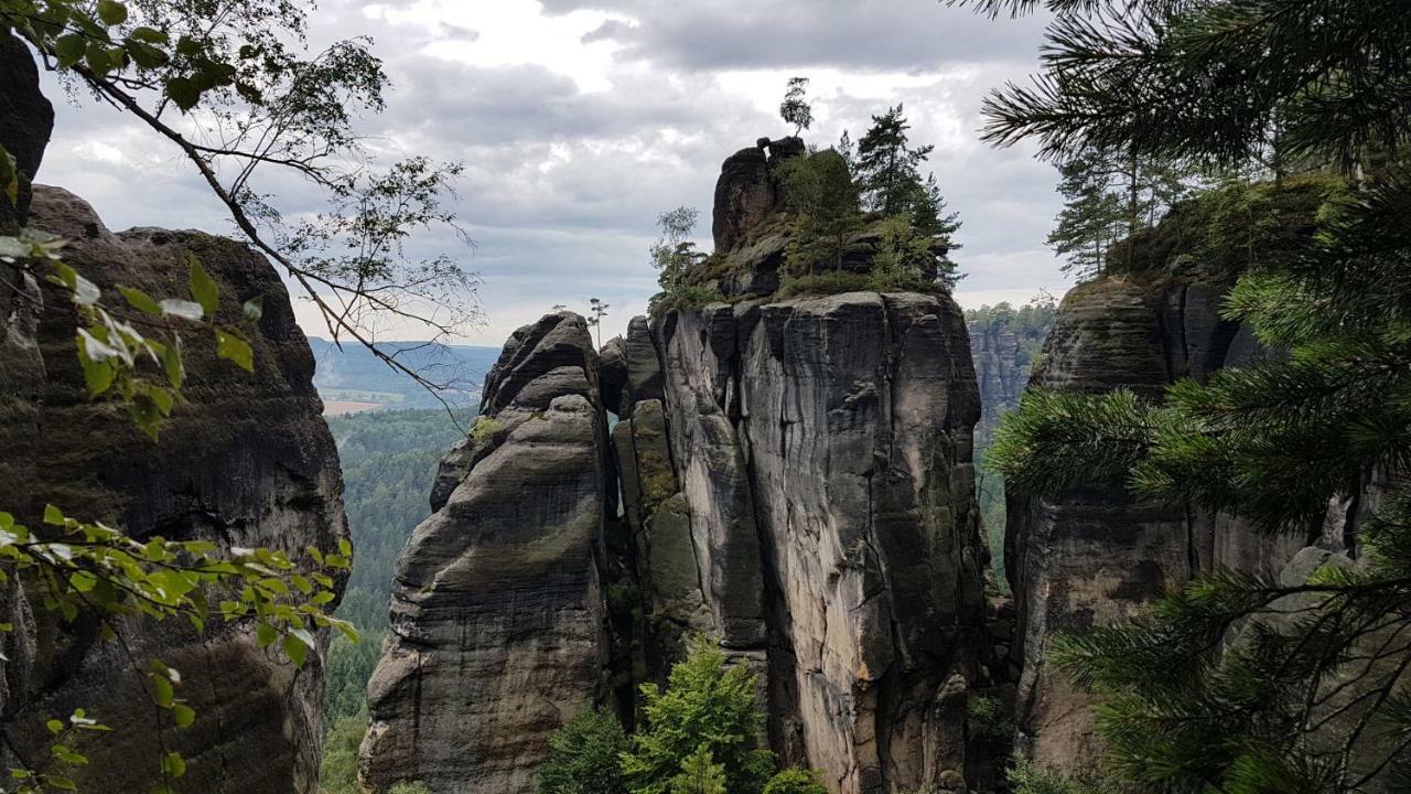 Ferienhaus Winterbergblick, Saechsische Schweiz Hinterhermsdorf Ngoại thất bức ảnh